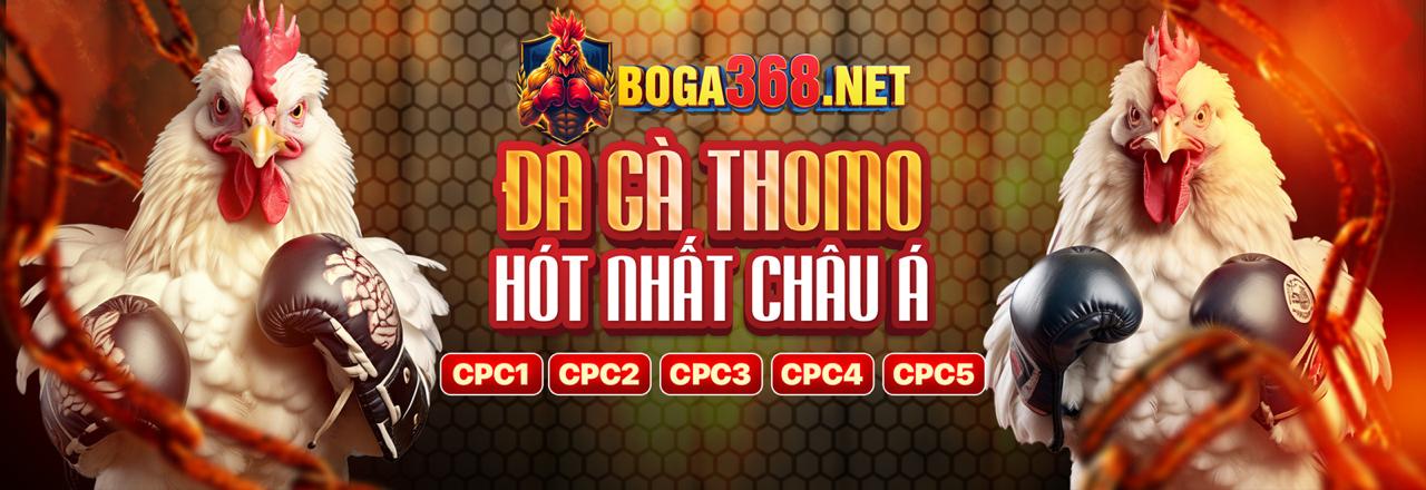 Hình ảnh minh họa chiến lược cá cược thể thao tại one888