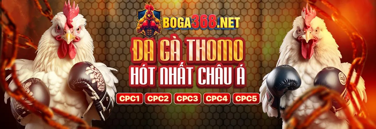 Hình ảnh minh họa chiến lược cá cược thể thao tại one888